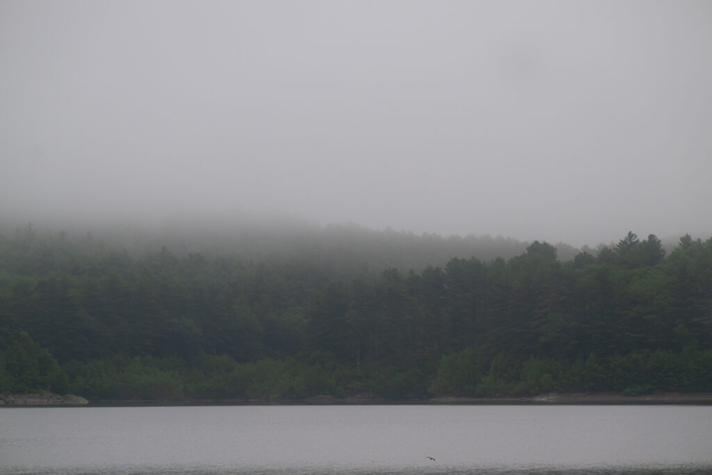 Wachusett Reservoir in the fog