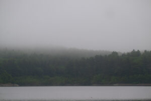Wachusett Reservoir in the fog