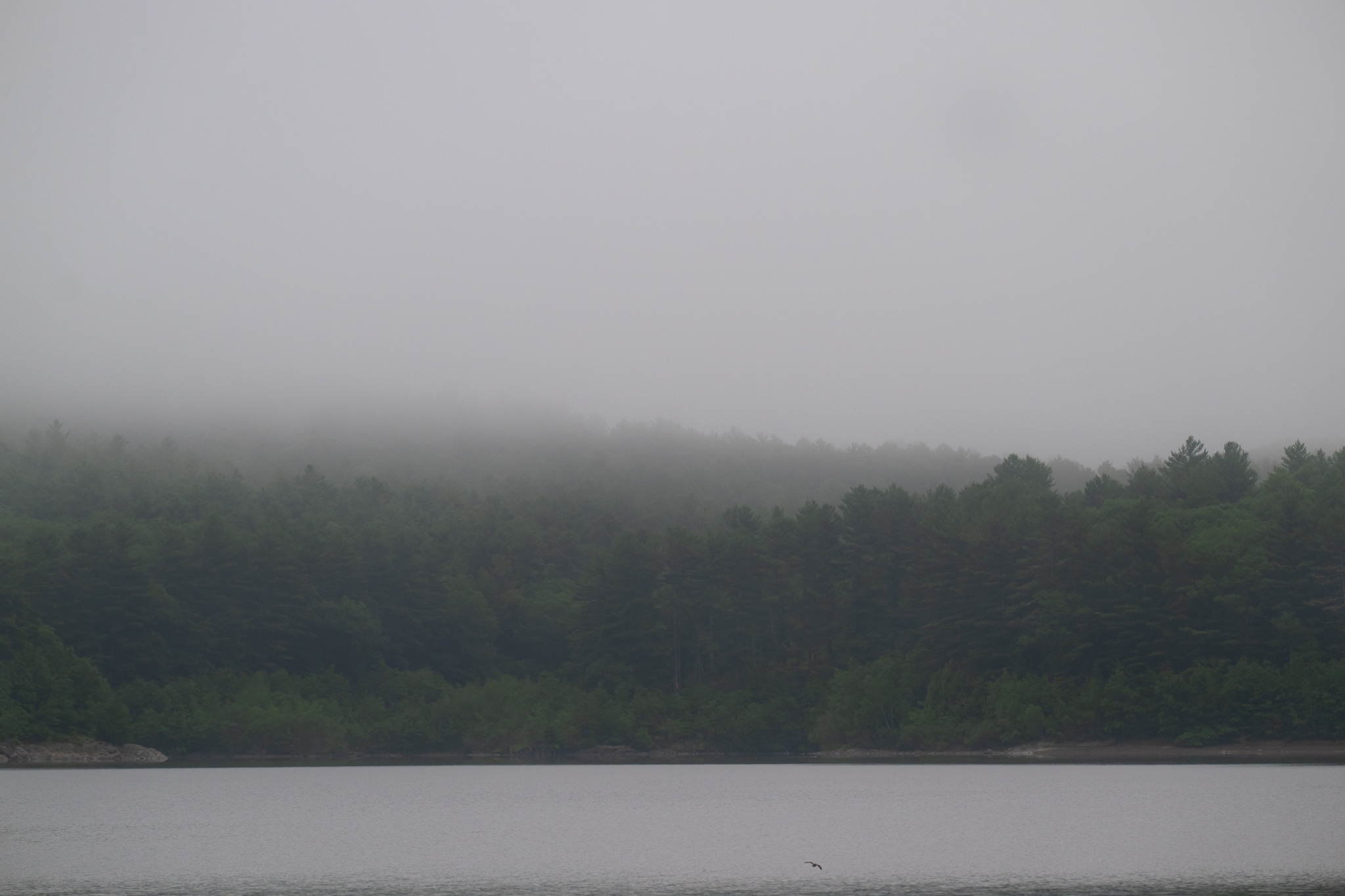 Wachusett Reservoir in the fog